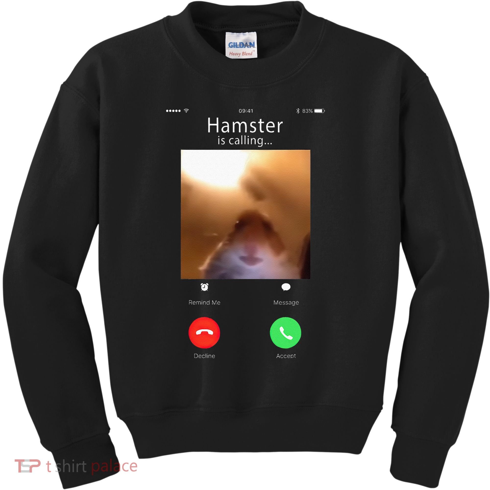 Dank Meme Hamster Staring Front Camera Hamster Calling Gift Kids Sweatshirt