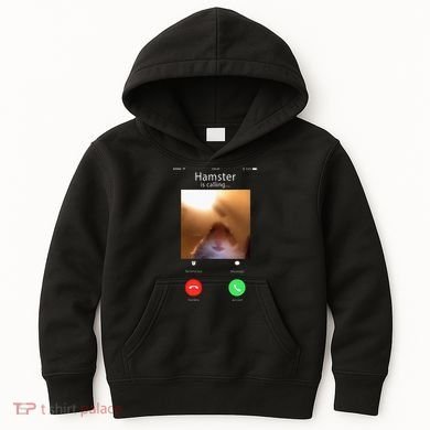 Dank Meme Hamster Staring Front Camera Hamster Calling Gift Kids Hoodie