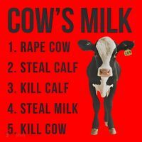 Dairy Milk Industry For Vegan Activist Santa Hat thumb 1