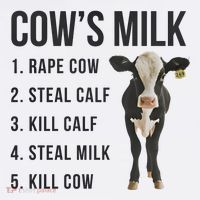 Dairy Milk Industry For Vegan Activist Women's Hoodie thumb 2