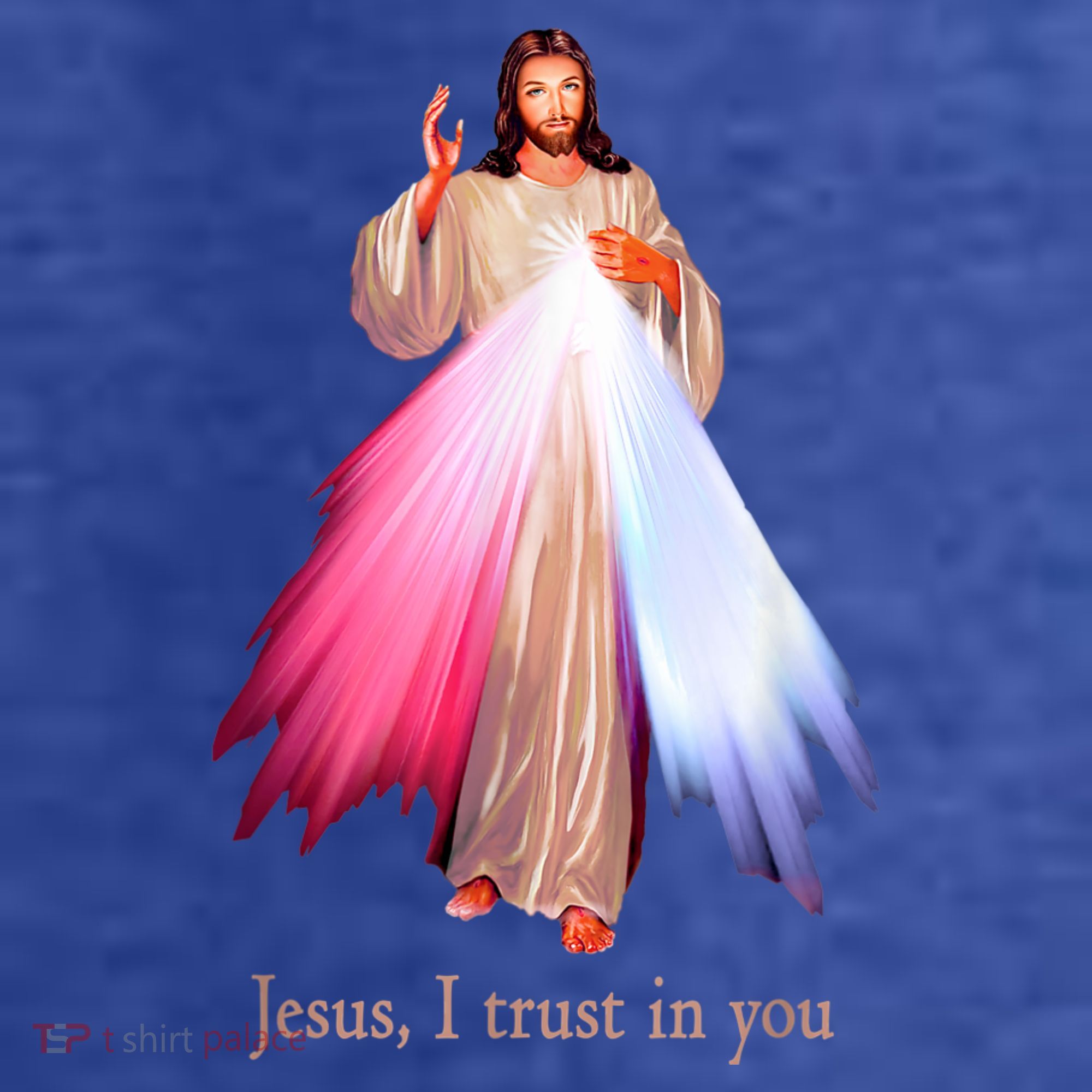Divine Mercy Jesus I Trust In You T-Shirt