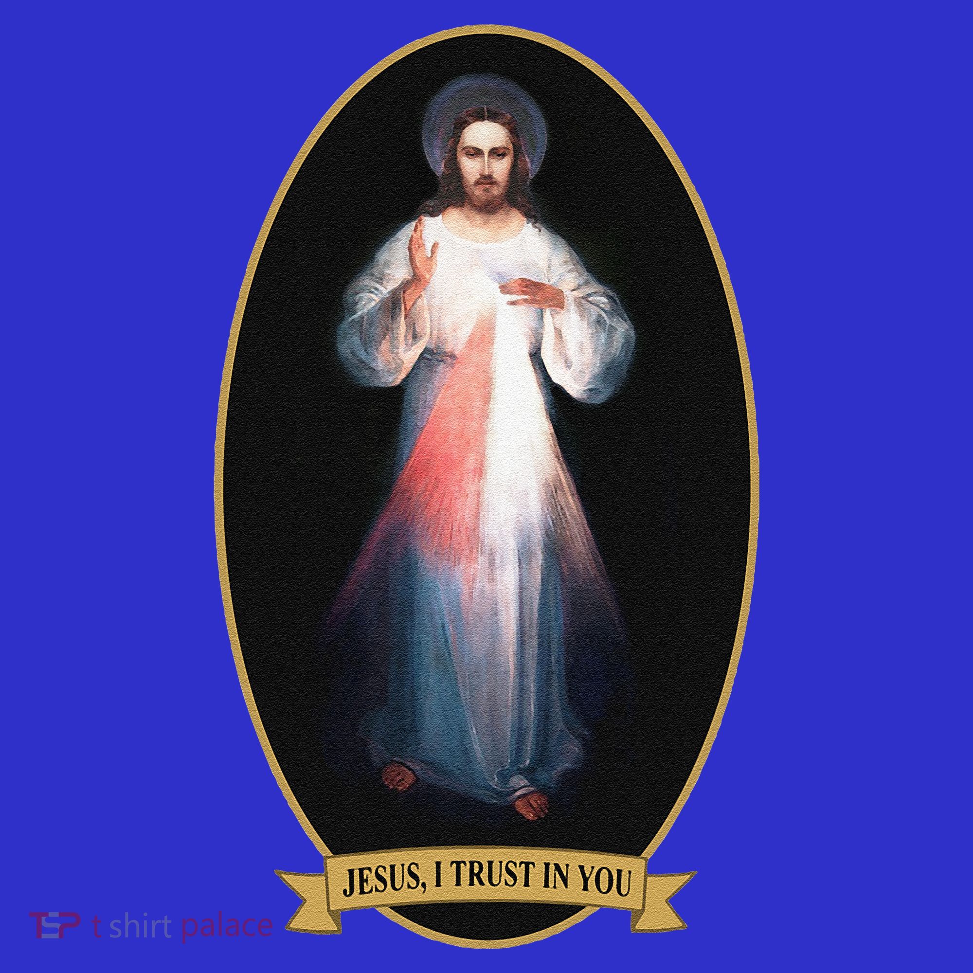 Divine Mercy Jesus I Trust In You Hoodie
