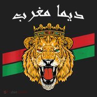 Dima Morocco Lion Flag Sport Soccer Jersey Tee Football Hat thumb 2