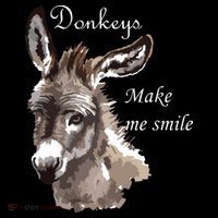 Donkeys Make Me Smile Cute Miniature Donkey Mini Donkey Gift Women's Hoodie thumb 2