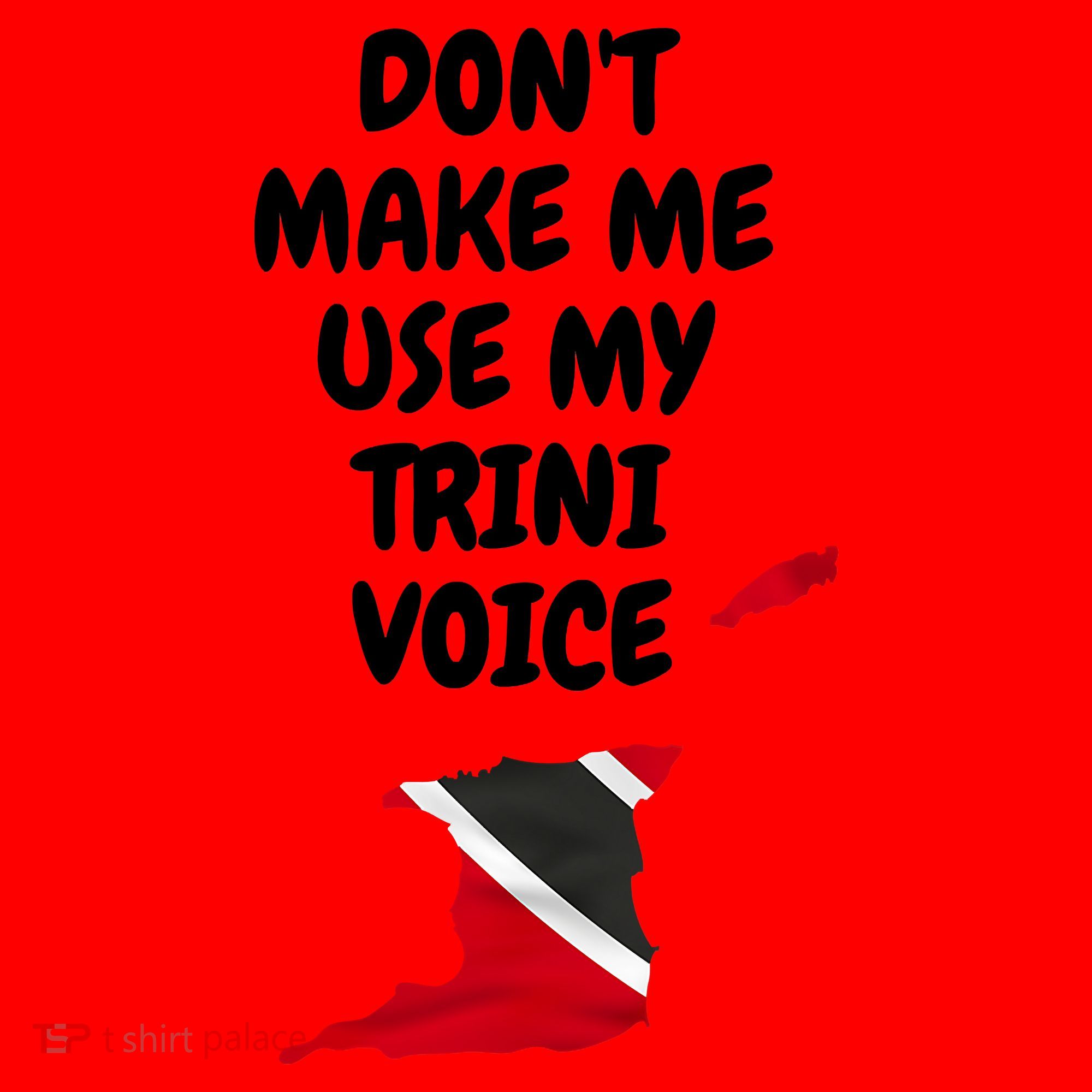 Don't Make Me Use My Trini Voice Trinidad And Tobago Flag Santa Hat