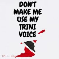 Don't Make Me Use My Trini Voice Trinidad And Tobago Flag Hoodie thumb 2