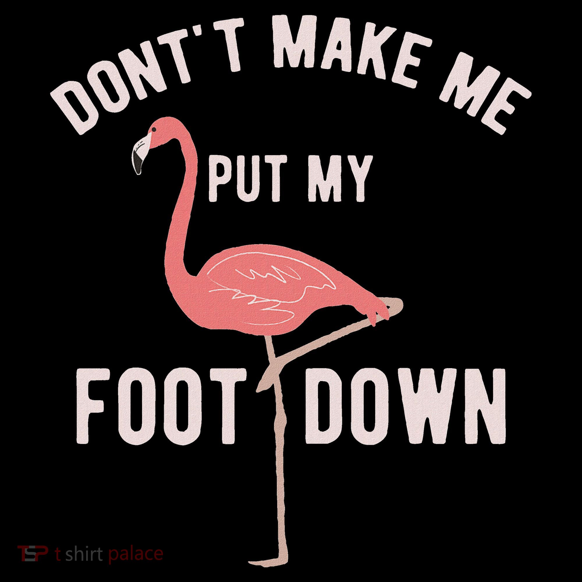 DonT Make Me Put My Foot Down Funny Flamingo Women's Hoodie