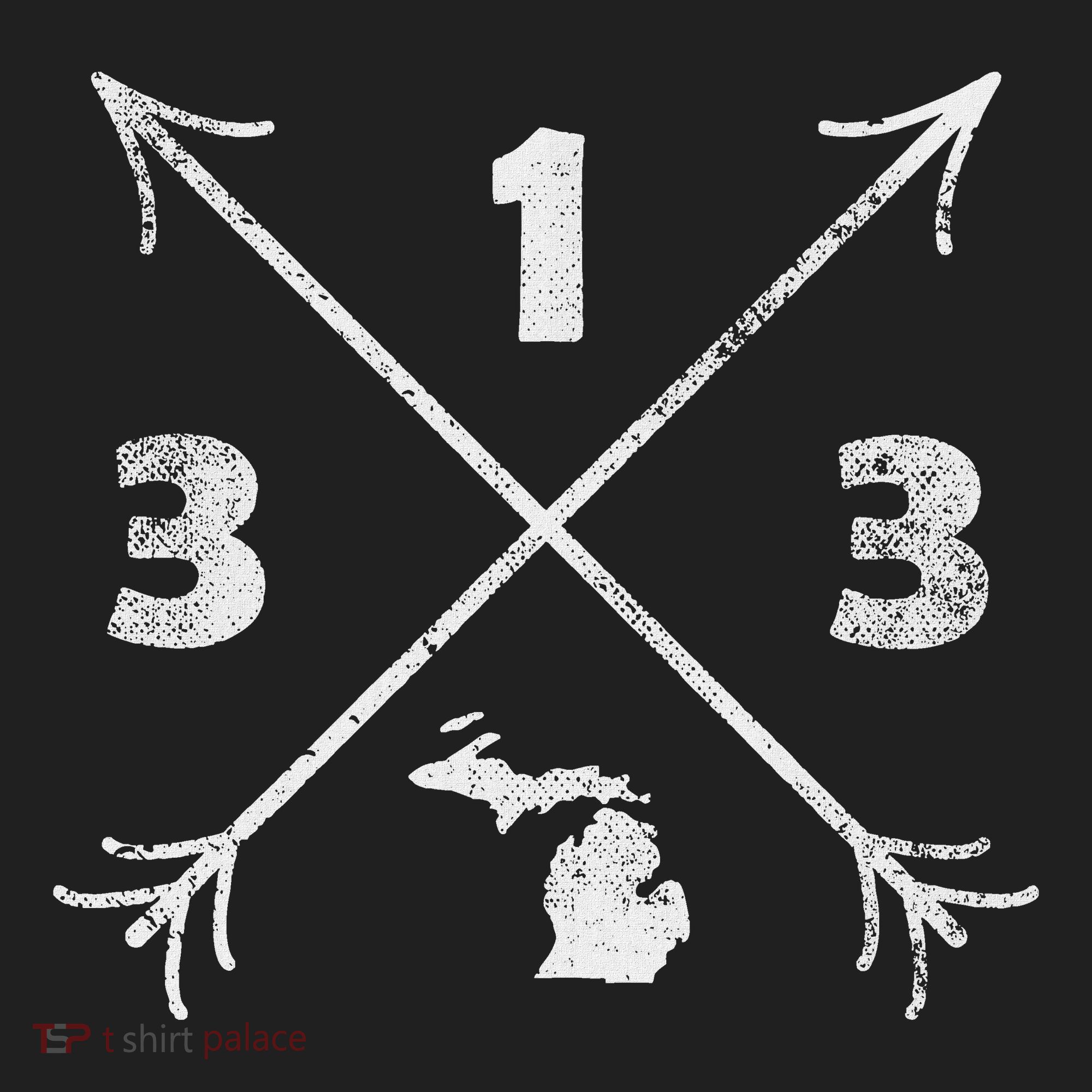 Detroit Michigan Mi Area Code 313 Beanie