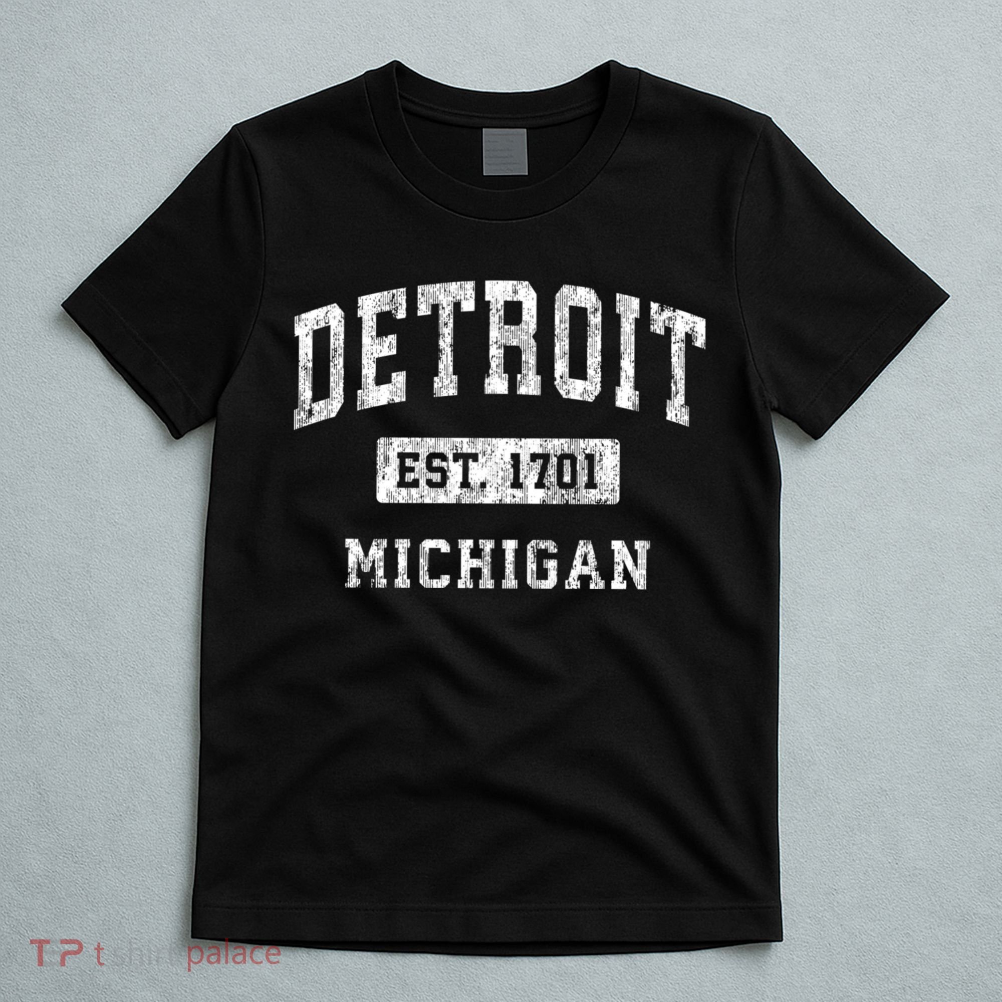 Detroit Michigan Mi Vintage Established Sports T-Shirt