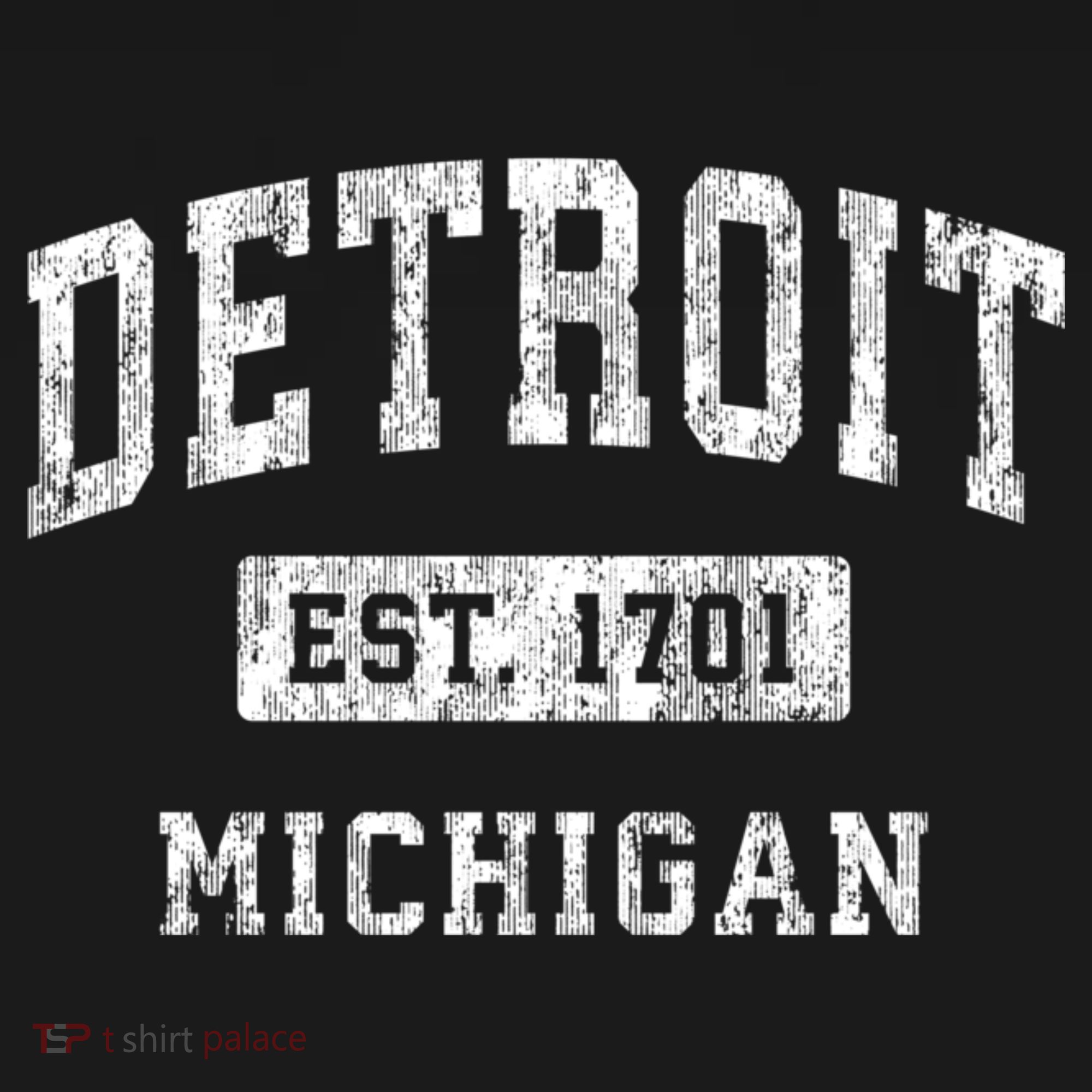 Detroit Michigan Mi Vintage Established Sports T-Shirt