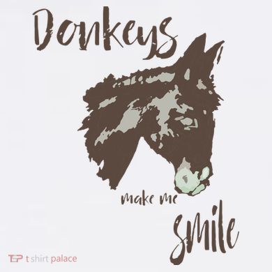 Donkeys Make Me Smile Cute Donkey Comfort Colors Heavyweight Long Sleeve T-Shirt