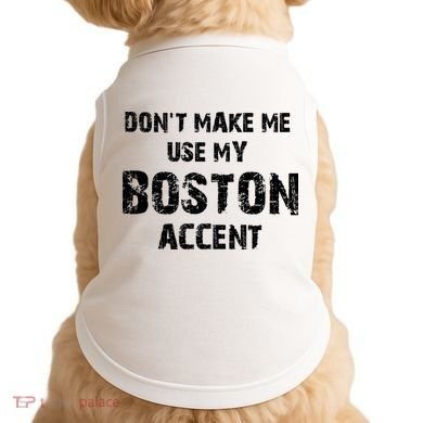 Dont Make Me Use My Boston Accent Doggie Tank