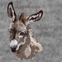 Donkeys Make Me Smile Cute Miniature DonkeyTail Lovers Toddler Hoodie thumb 2