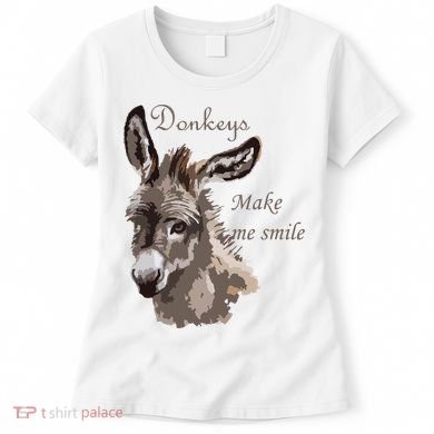 Donkeys Make Me Smile Cute Miniature DonkeyTail Lovers Women's T-Shirt