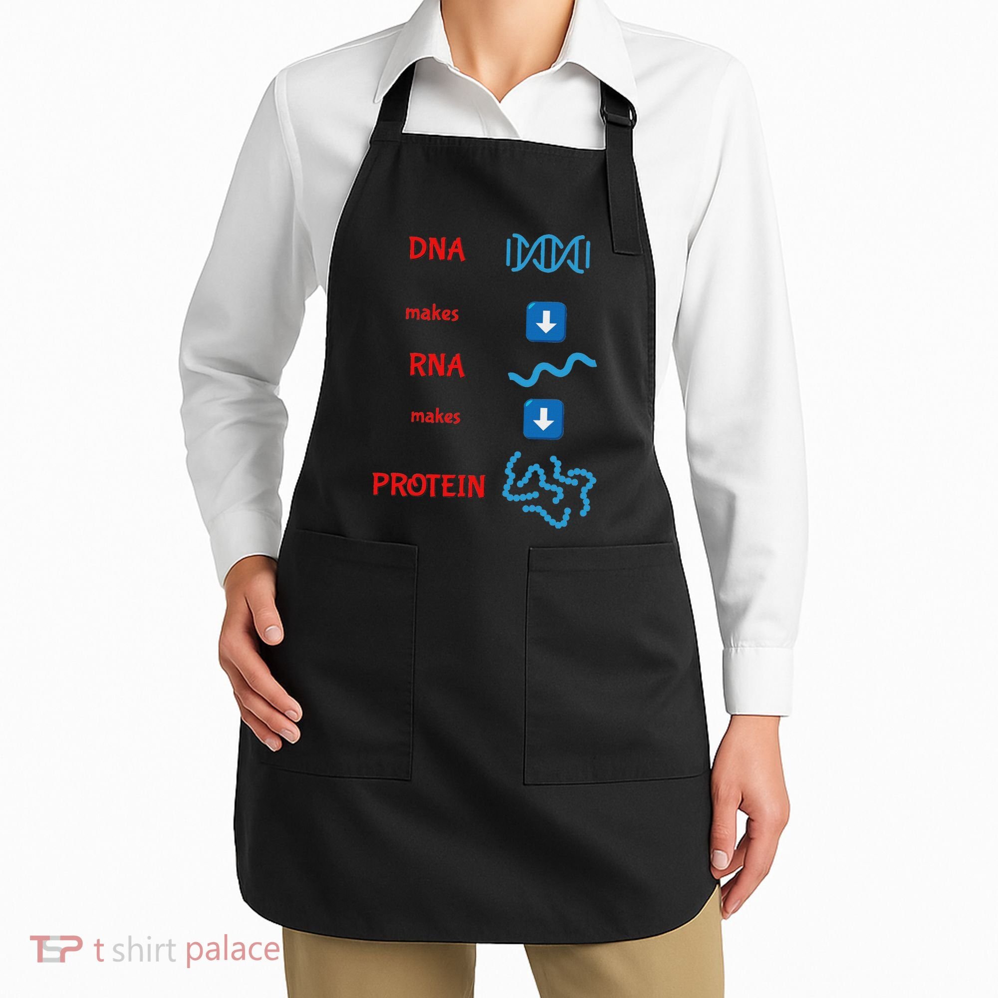 Dna Makes Rna Makes Protein Molecular Cell Biology Apron