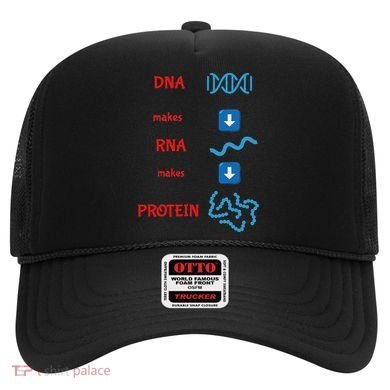 Dna Makes Rna Makes Protein Molecular Cell Biology Hat