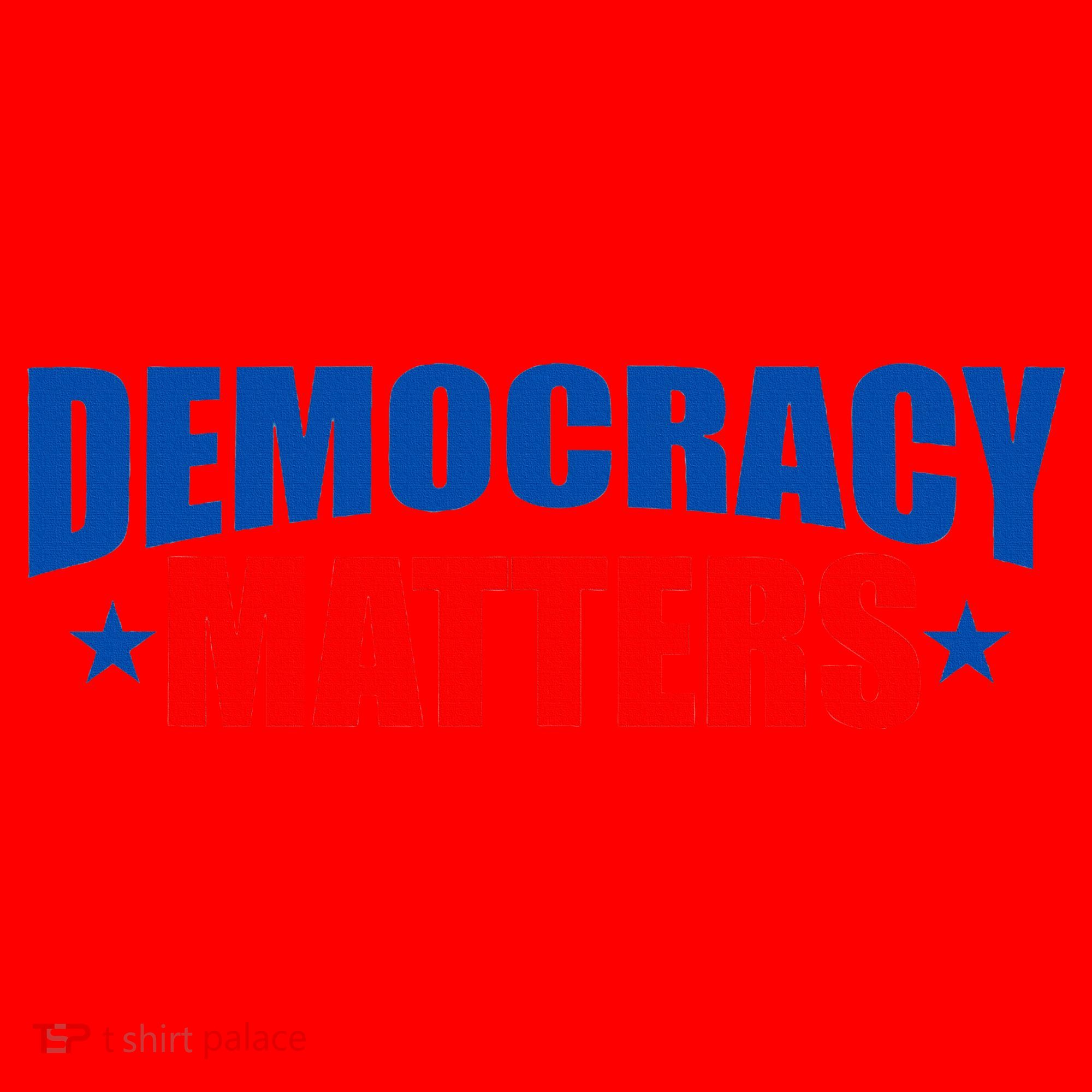 Democracy Matters Voting Santa Hat