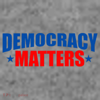 Democracy Matters Voting Toddler Hoodie thumb 2