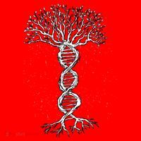 DNA Tree Santa Hat thumb 1