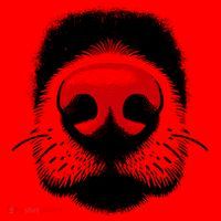 Dog Nose Close Up Santa Hat thumb 1