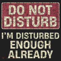 Do Not Disturb IM Disturbed Enough Already Sarcastic Women's Sweatshirt thumb 2