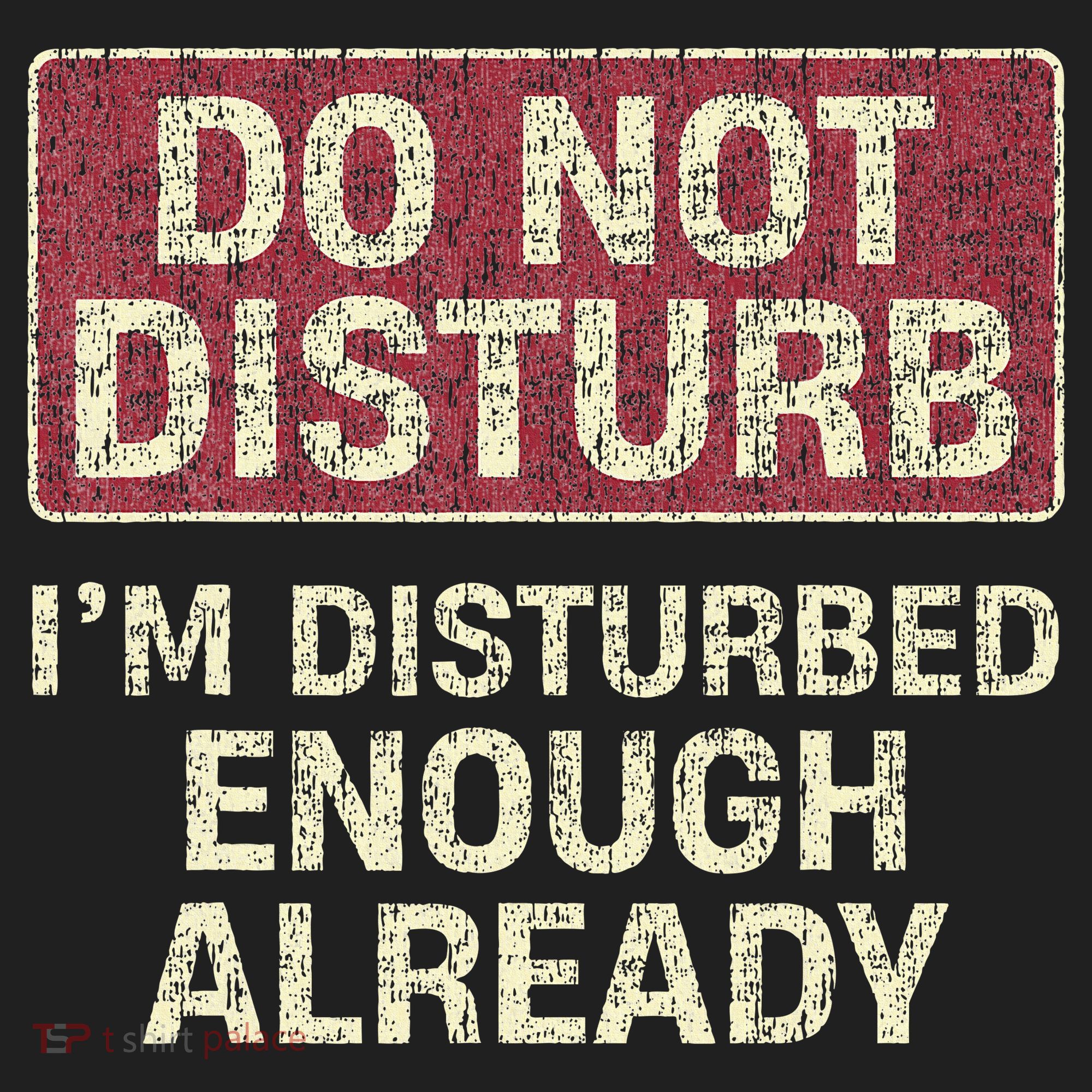 Do Not Disturb IM Disturbed Enough Already Sarcastic Beanie