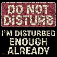 Do Not Disturb IM Disturbed Enough Already Sarcastic Coaster thumb 2