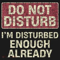 Do Not Disturb IM Disturbed Enough Already Sarcastic Pajama Set thumb 2