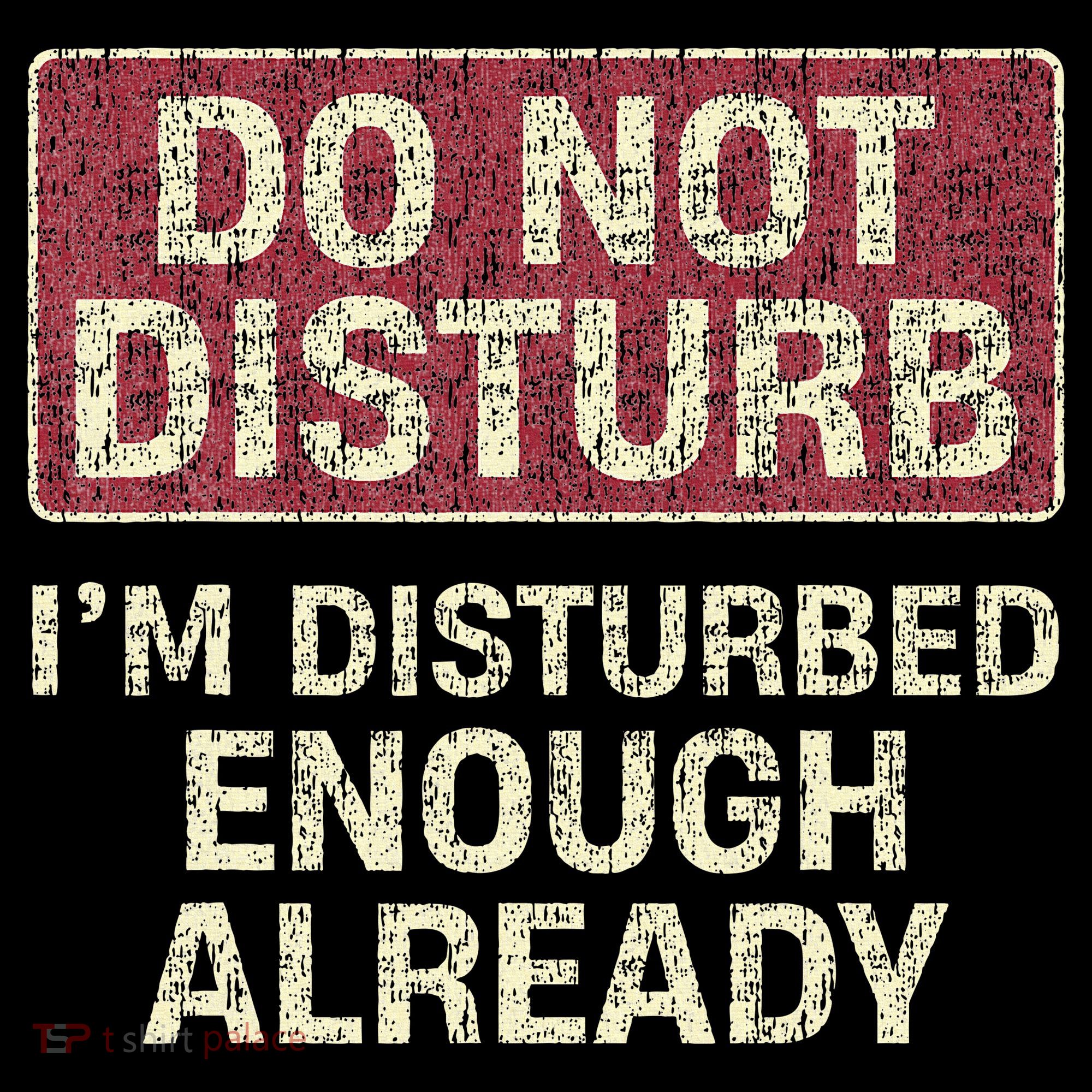 Do Not Disturb IM Disturbed Enough Already Sarcastic Women's Long Sleeve Shirt