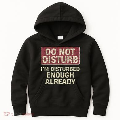 Do Not Disturb IM Disturbed Enough Already Sarcastic Kids Hoodie