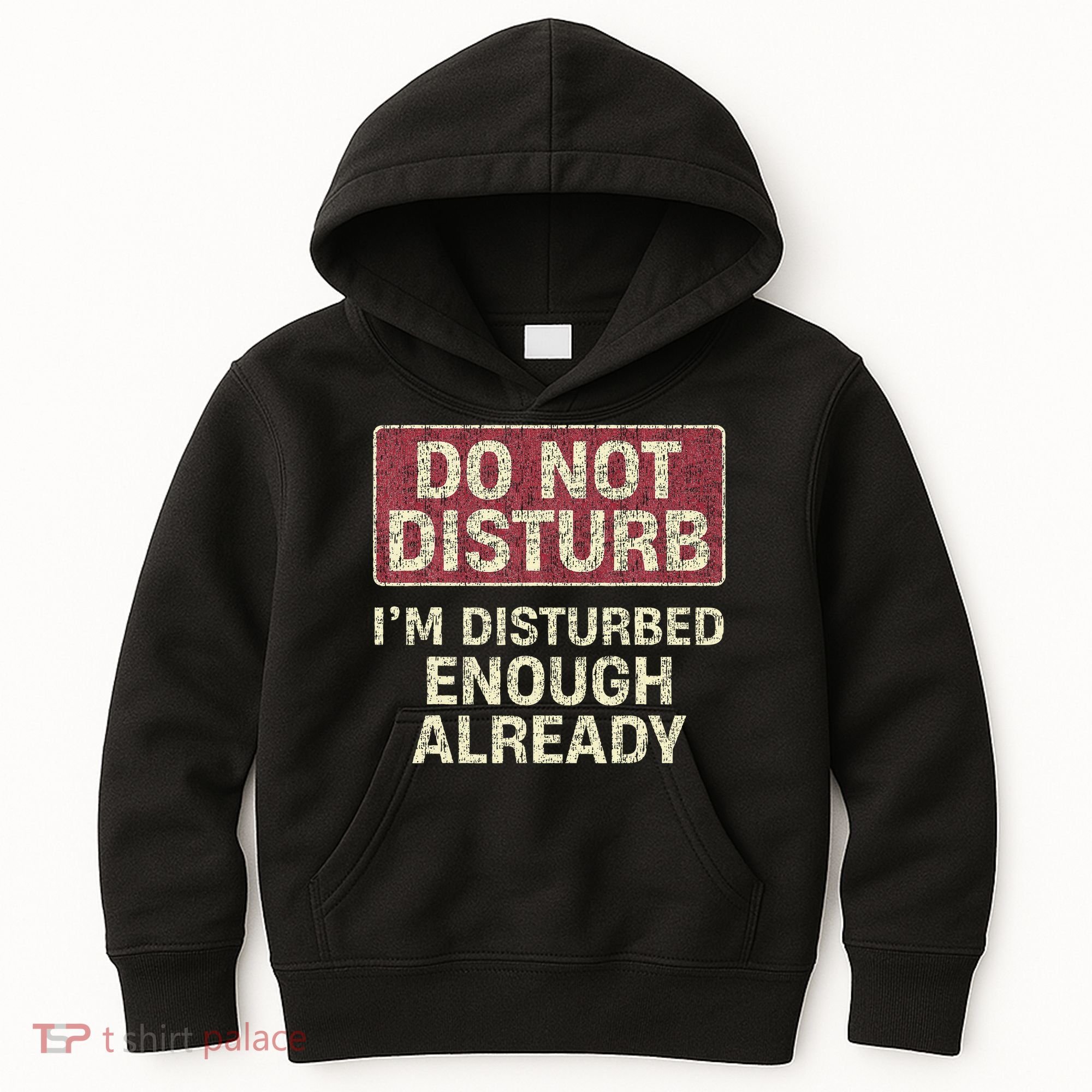 Do Not Disturb IM Disturbed Enough Already Sarcastic Kids Hoodie