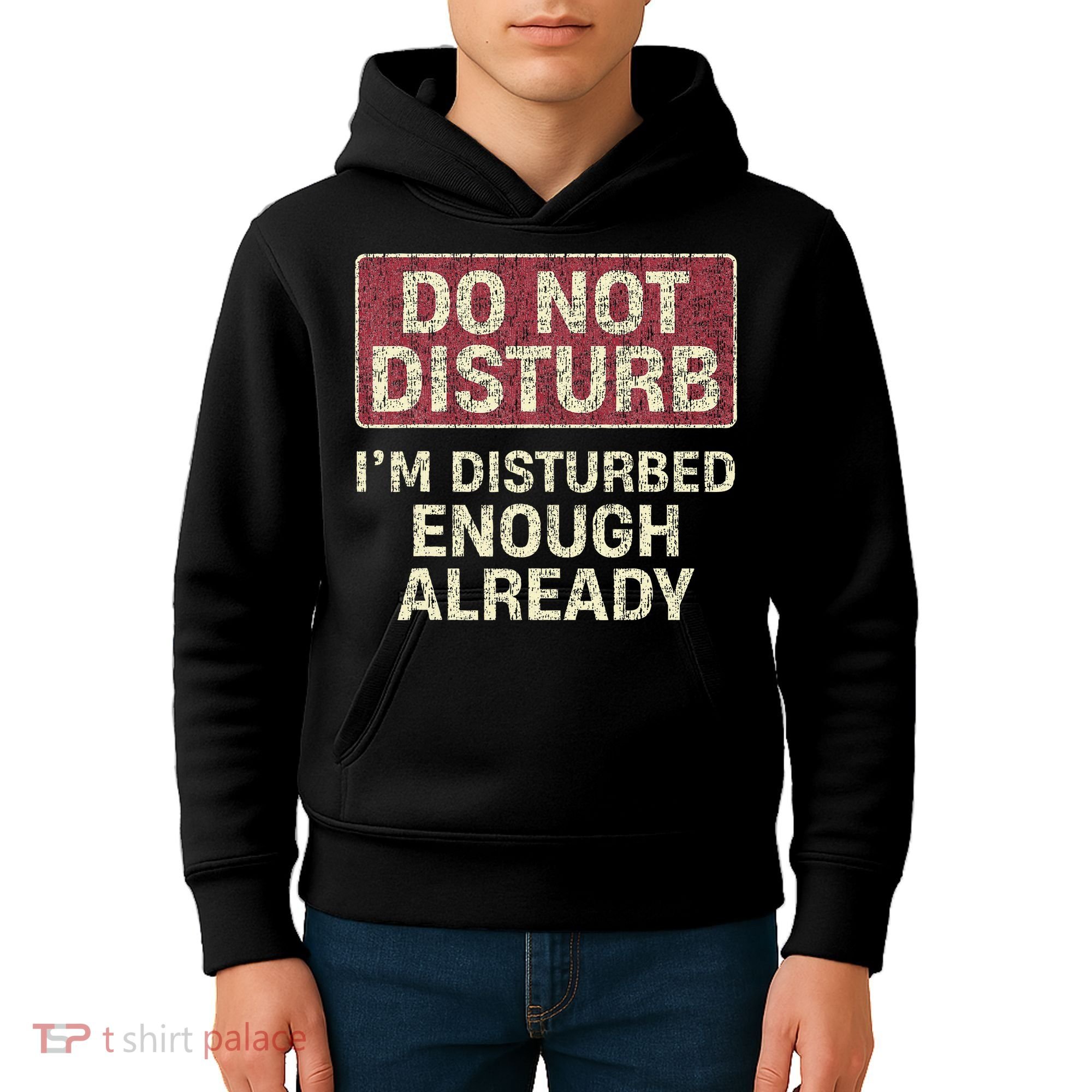 Do Not Disturb IM Disturbed Enough Already Sarcastic Kids Hoodie