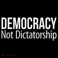 Democracy Not Dictatorship Hoodie thumb 7