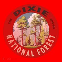 Dixie National Forest Utah Santa Hat thumb 1