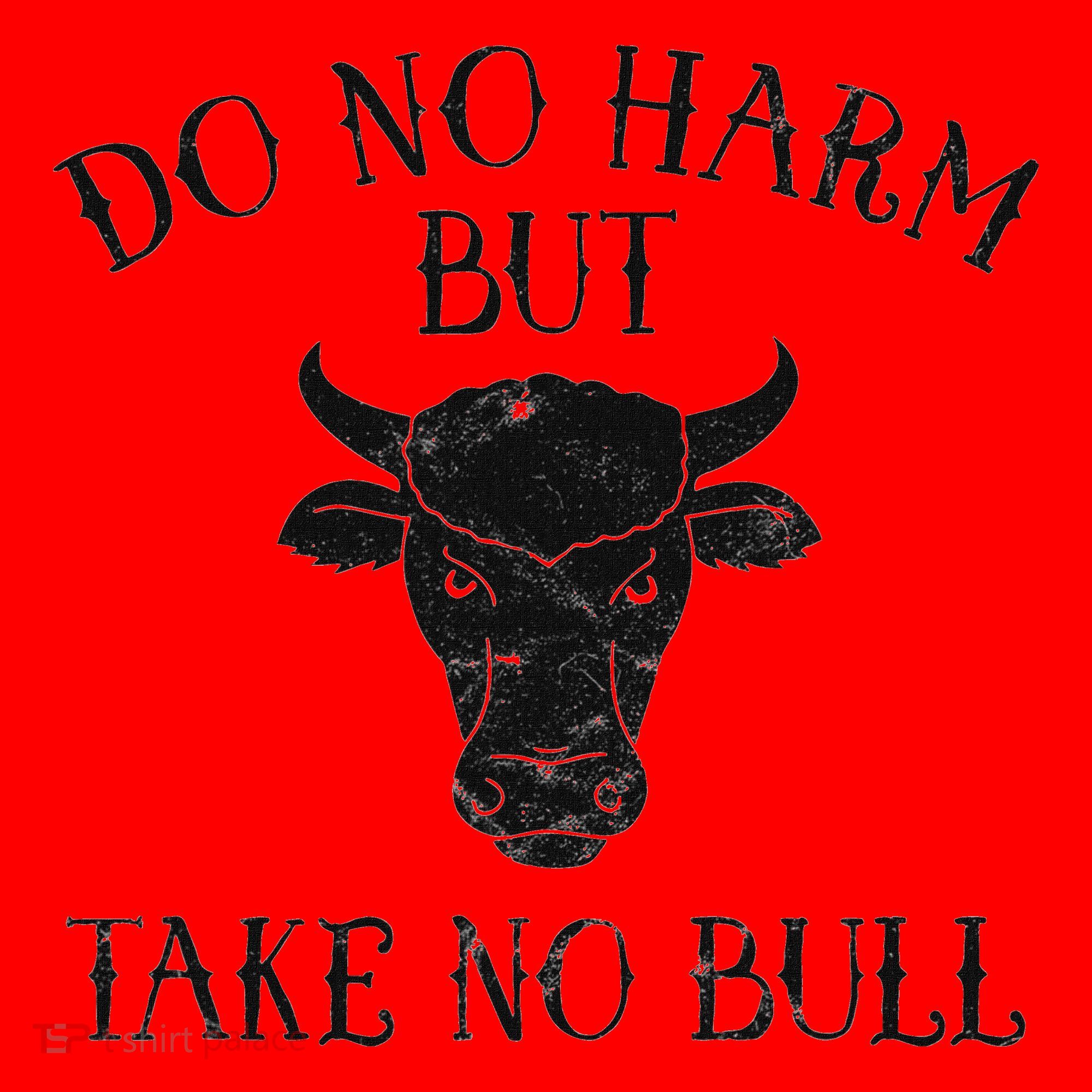 Do No Harm But Take No Bull Santa Hat