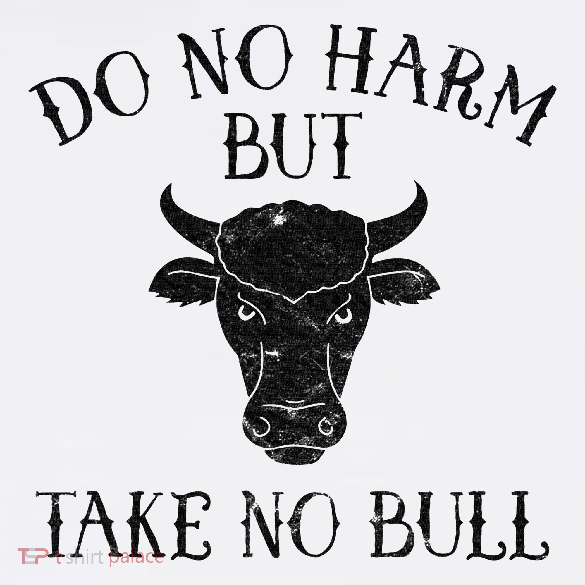 Do No Harm But Take No Bull Visor