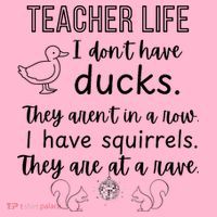 Ducks Not In A Row, Squirrel Rave Funny Teacher  Coaster thumb 2