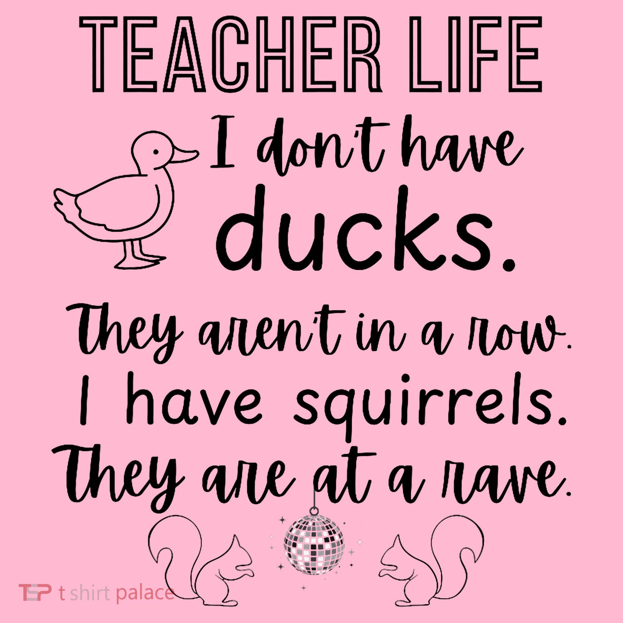 Ducks Not In A Row, Squirrel Rave Funny Teacher  Coaster
