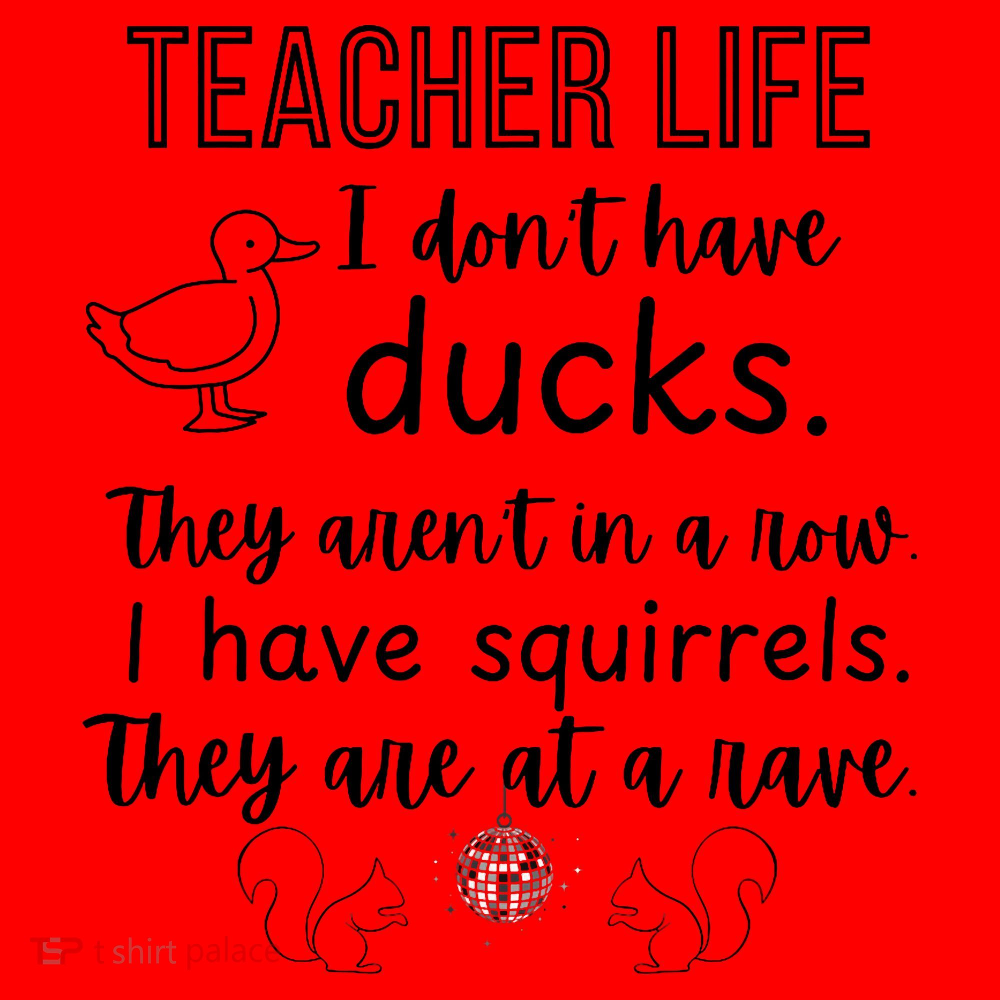 Ducks Not In A Row, Squirrel Rave Funny Teacher  Santa Hat
