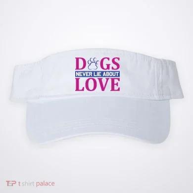 Visor