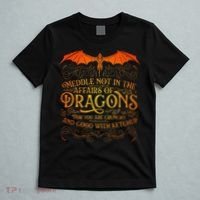 Do Not Meddle In The Affairs Of Dragons Fantasy Art T-Shirt thumb 5