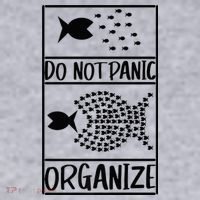 Do Not Panic Organize Dont Panic Ladies Heavyweight Boxy Pullover Hoodie thumb 2