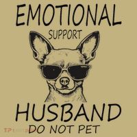 Do Not Pet Emotional Husband Support Funny Chihuahua Dog Sweatshirt thumb 2