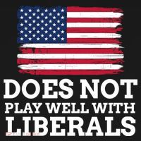Does Not Play Well With Liberals Gift USA-Made Doggie Bandana thumb 2