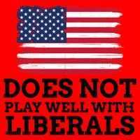 Does Not Play Well With Liberals Gift Santa Hat thumb 1