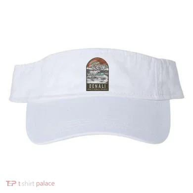 Visor