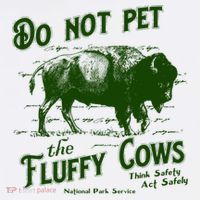 Do Not Pet The Fluffy Cows American Bison Vintage T-Shirt thumb 7