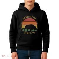 Do Not Pet The Fluffy Cows Funny Bison Yellowstone Park Kids Hoodie thumb 4