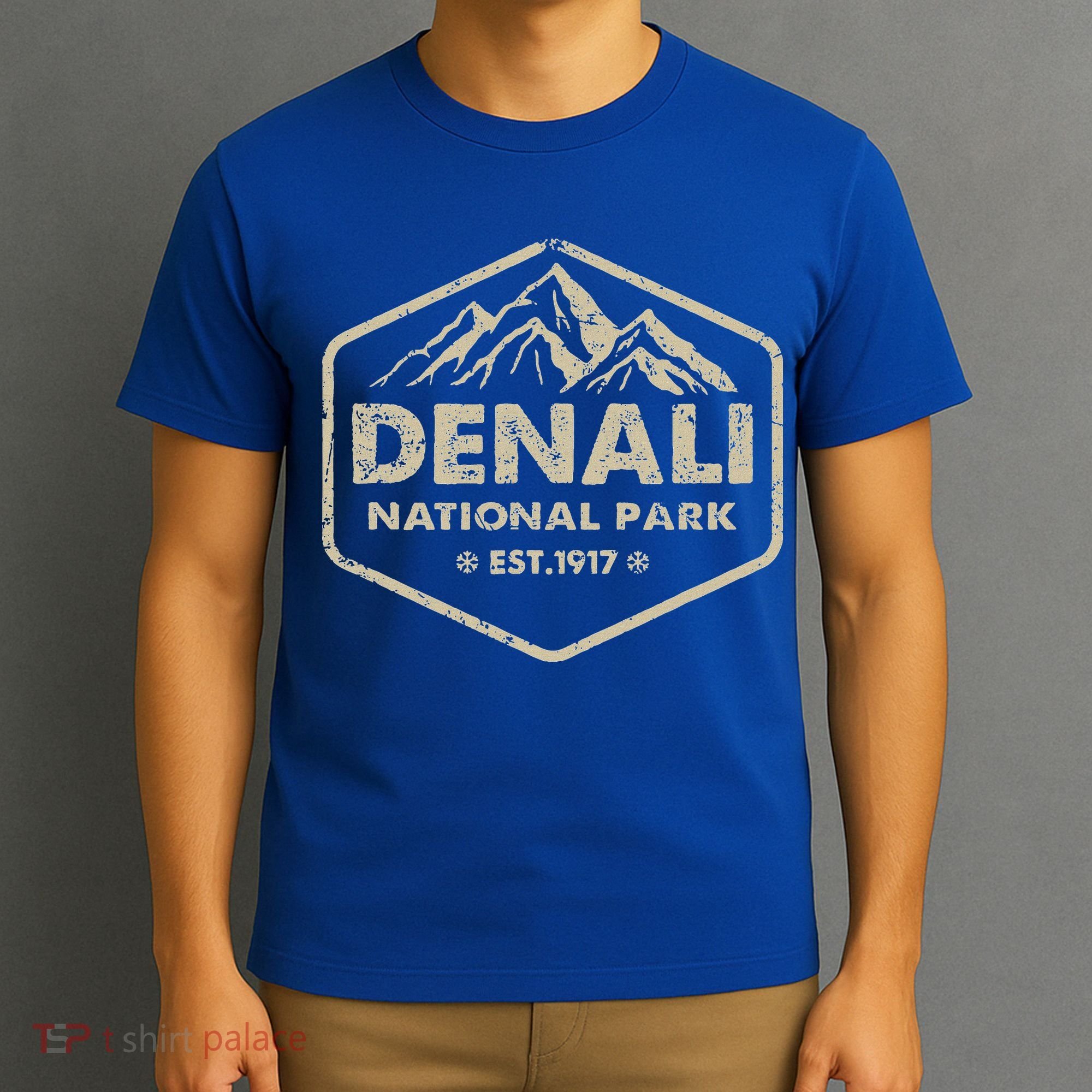 Denali National Park Alaska Mountains Nature T-Shirt