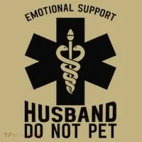 Do Not Pet Emotional Support Husband Hoodie thumb 2
